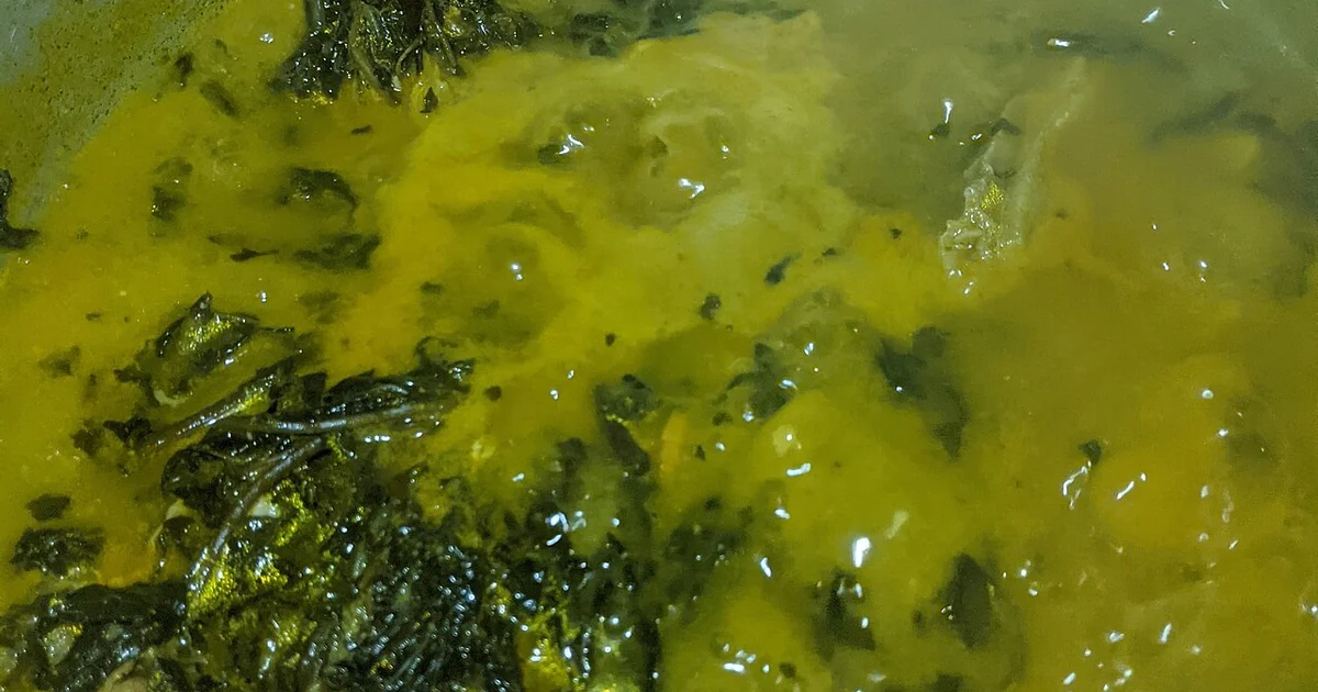 Bitter leaf soup